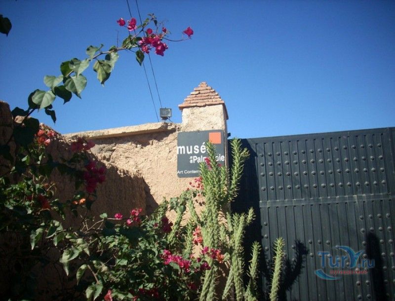 Музей Пальмерэ