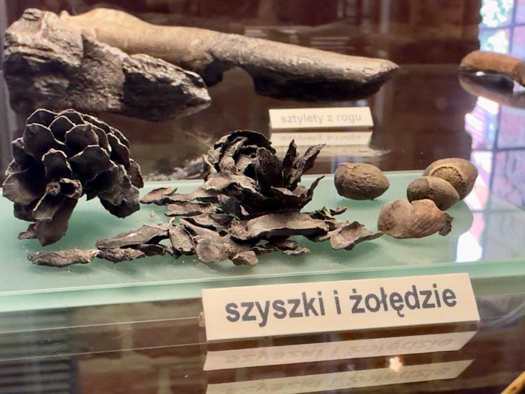 Вроцлавский археологический музей