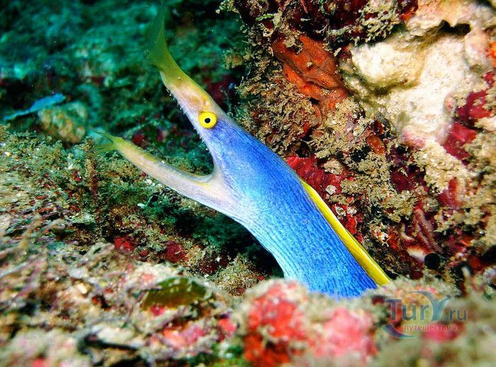 Национальный Морской Парк и Заповедник Ватаму