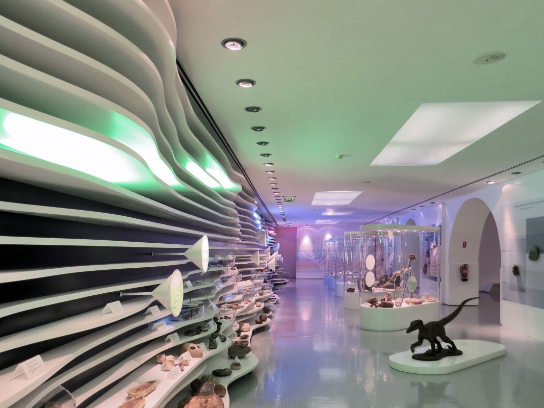 Музей естественной истории Синтры