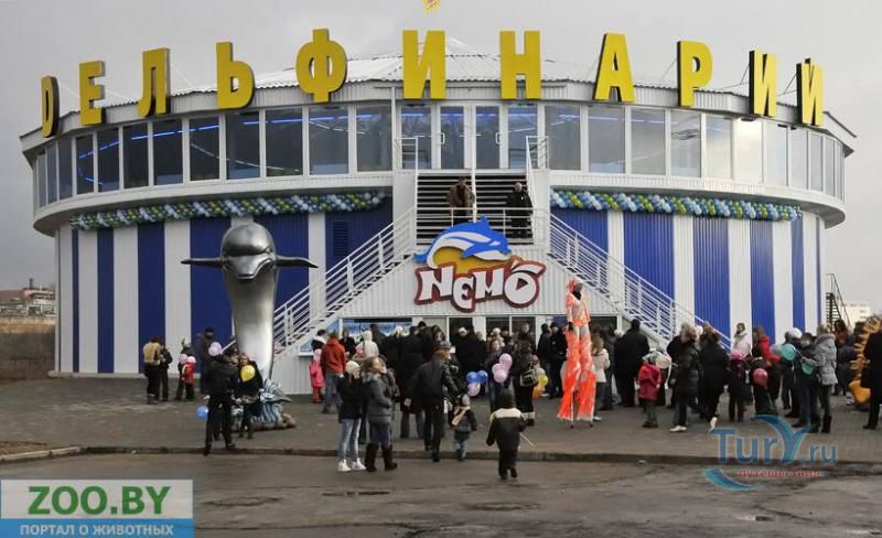 Минский дельфинарий 