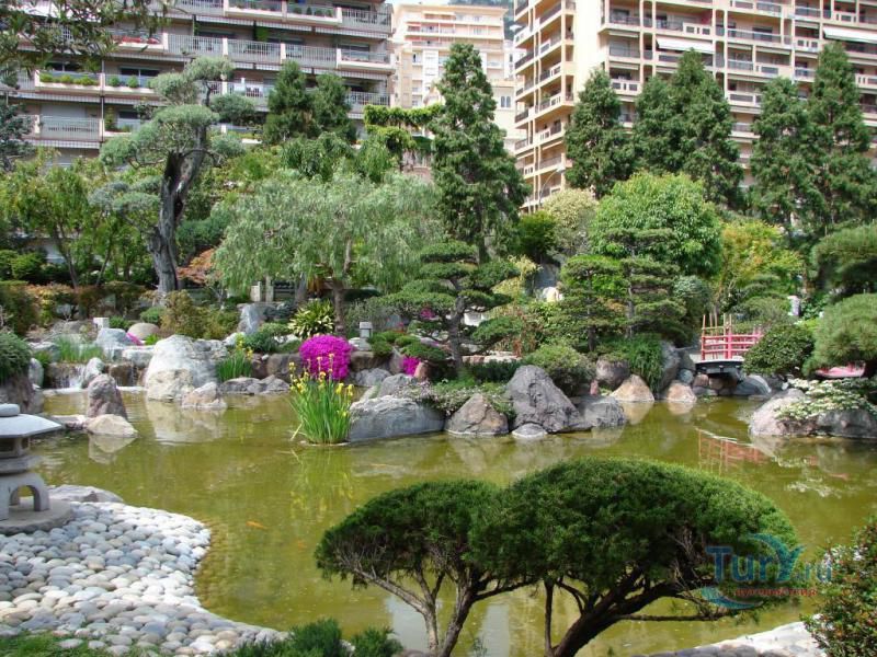 Королевский Японский сад