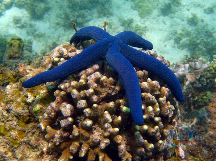 Национальный Морской Парк и Заповедник Ватаму