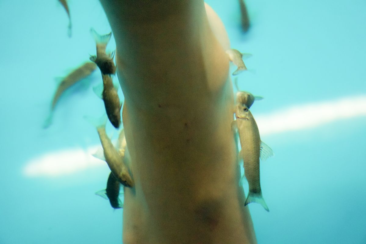 Аквапарк «Королевская бочка»