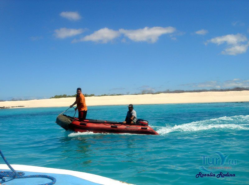 Залив Тортуга Бей