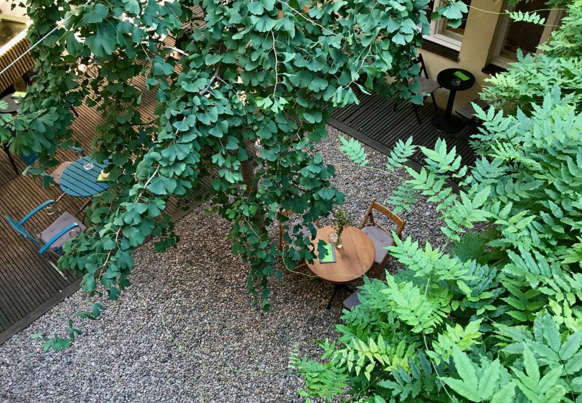 Langhans – Центр «Человек в беде»