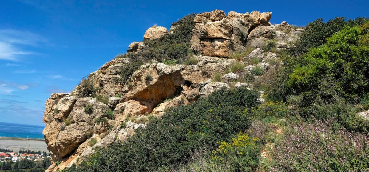 Гора Кармель