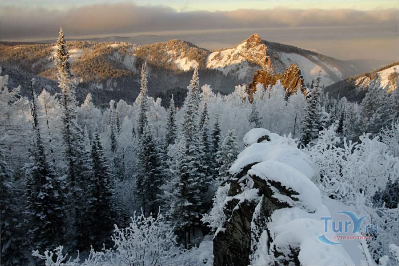Таймырский заповедник