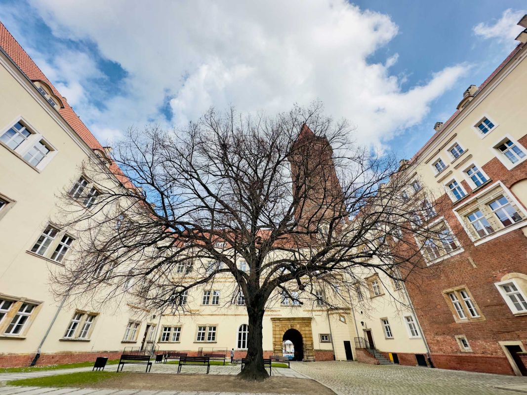 Замок Пястов в Легнице