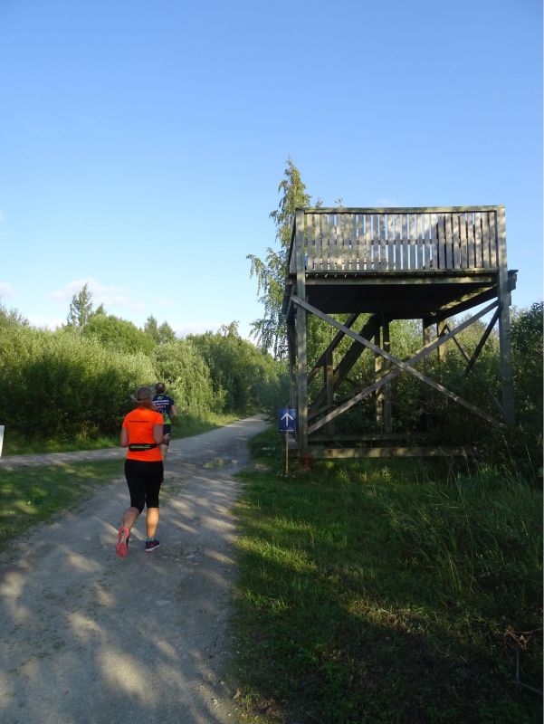 Смотровые вышки для наблюдения за птицами в Пальяссаареской заповедной зоне
