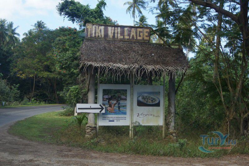 Деревня Тики