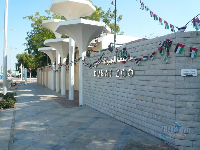 Дубайский зоопарк