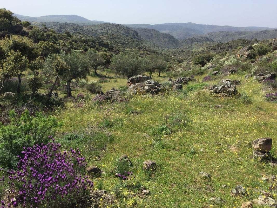 Заповедник Фая Брава