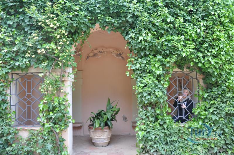 Лабиринт Орта