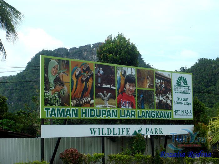 Птичий рай Лангкави