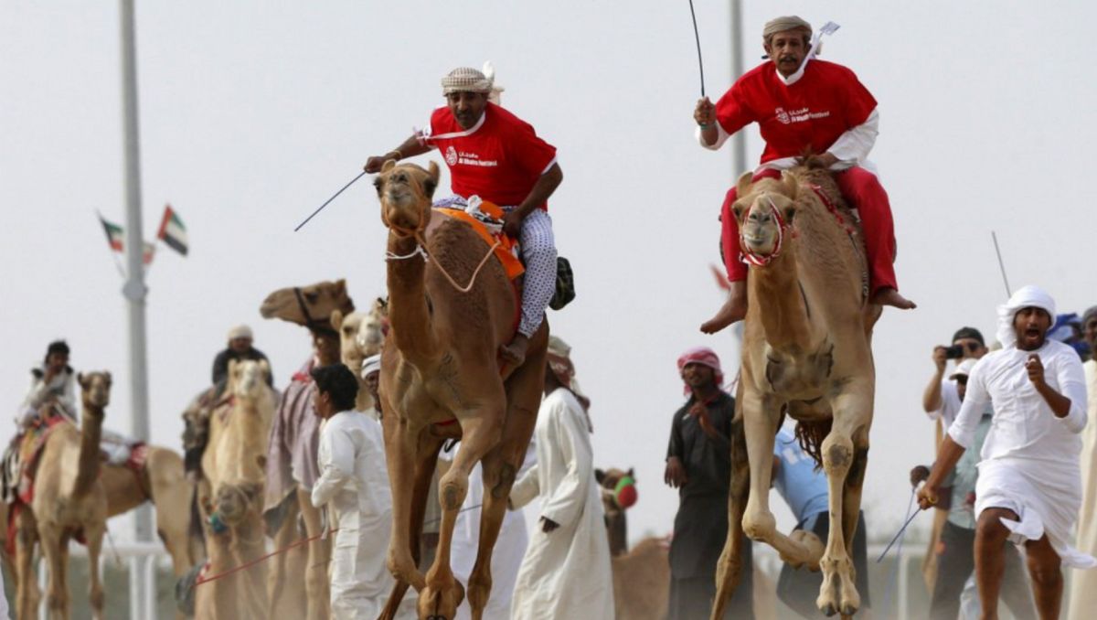 Верблюжьи бега