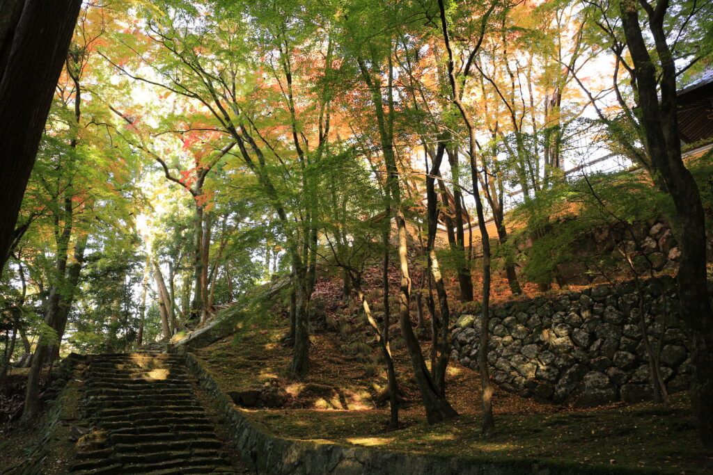 Храм Ходзё-дзи