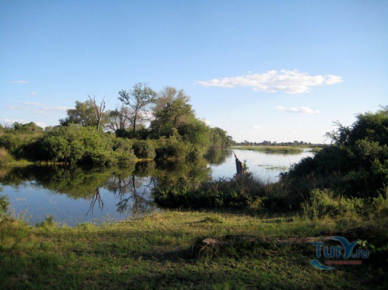 Национальный Парк Бвабвата