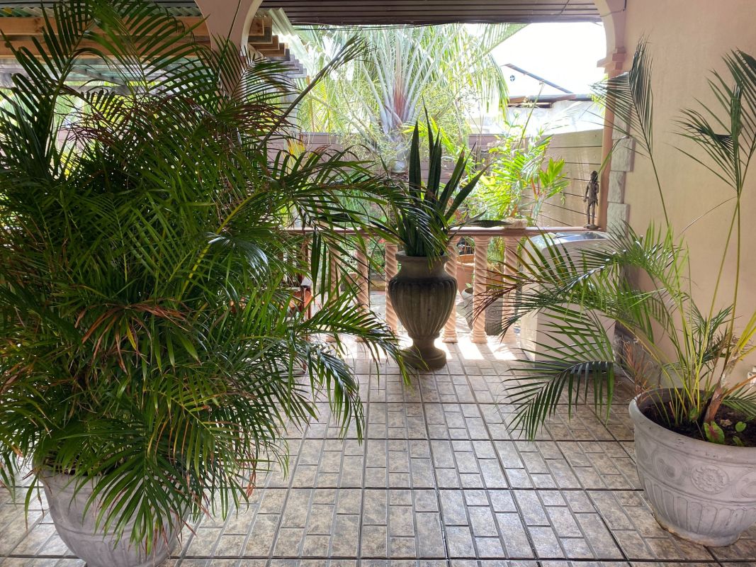 Effie’s Mountain View villas