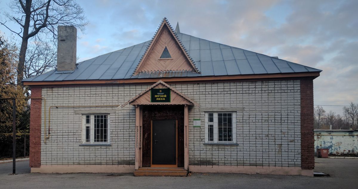 Республиканский музей леса