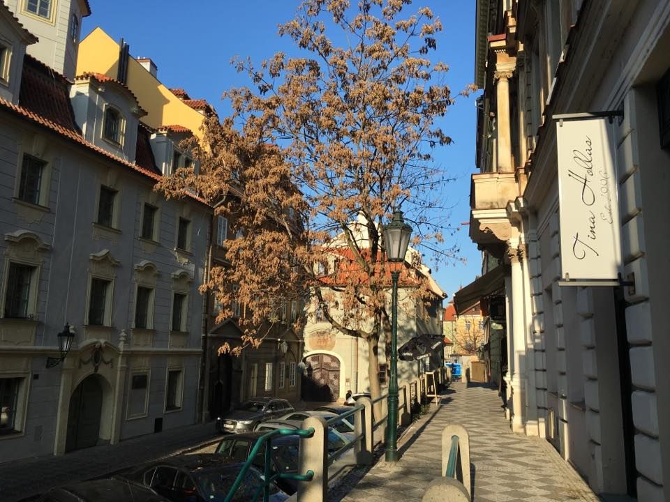 Ателье и магазин Tina Hollas Couture