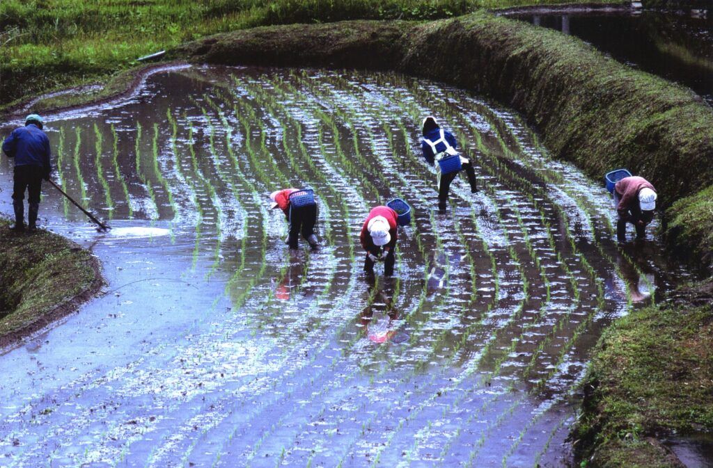 Район Кевара