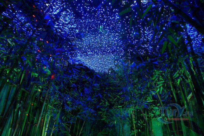 Парк Пхукет Фантазия