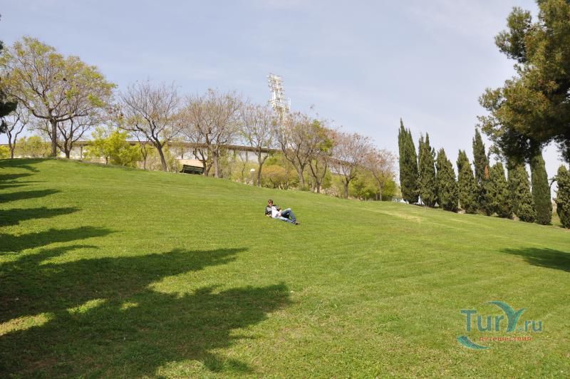 Лабиринт Орта