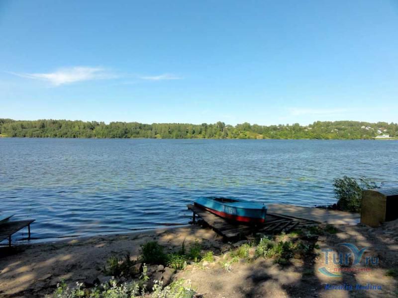 Памятник Коту в Плёсе