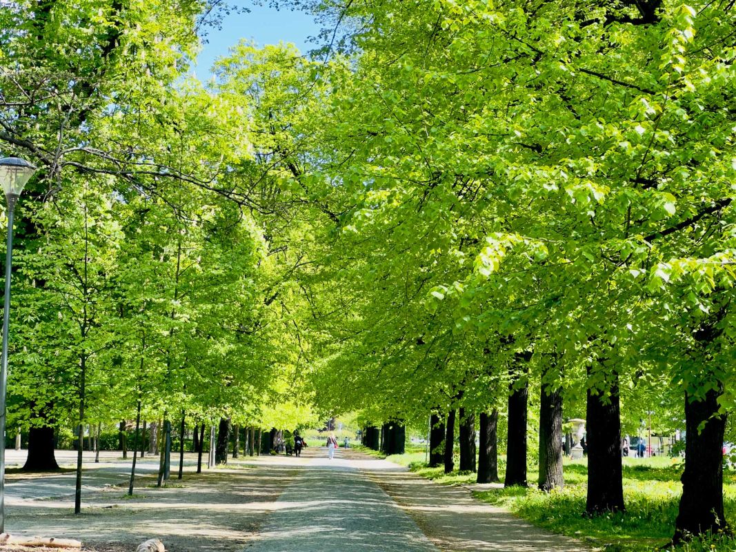 Парк Юлиуша Словацкого