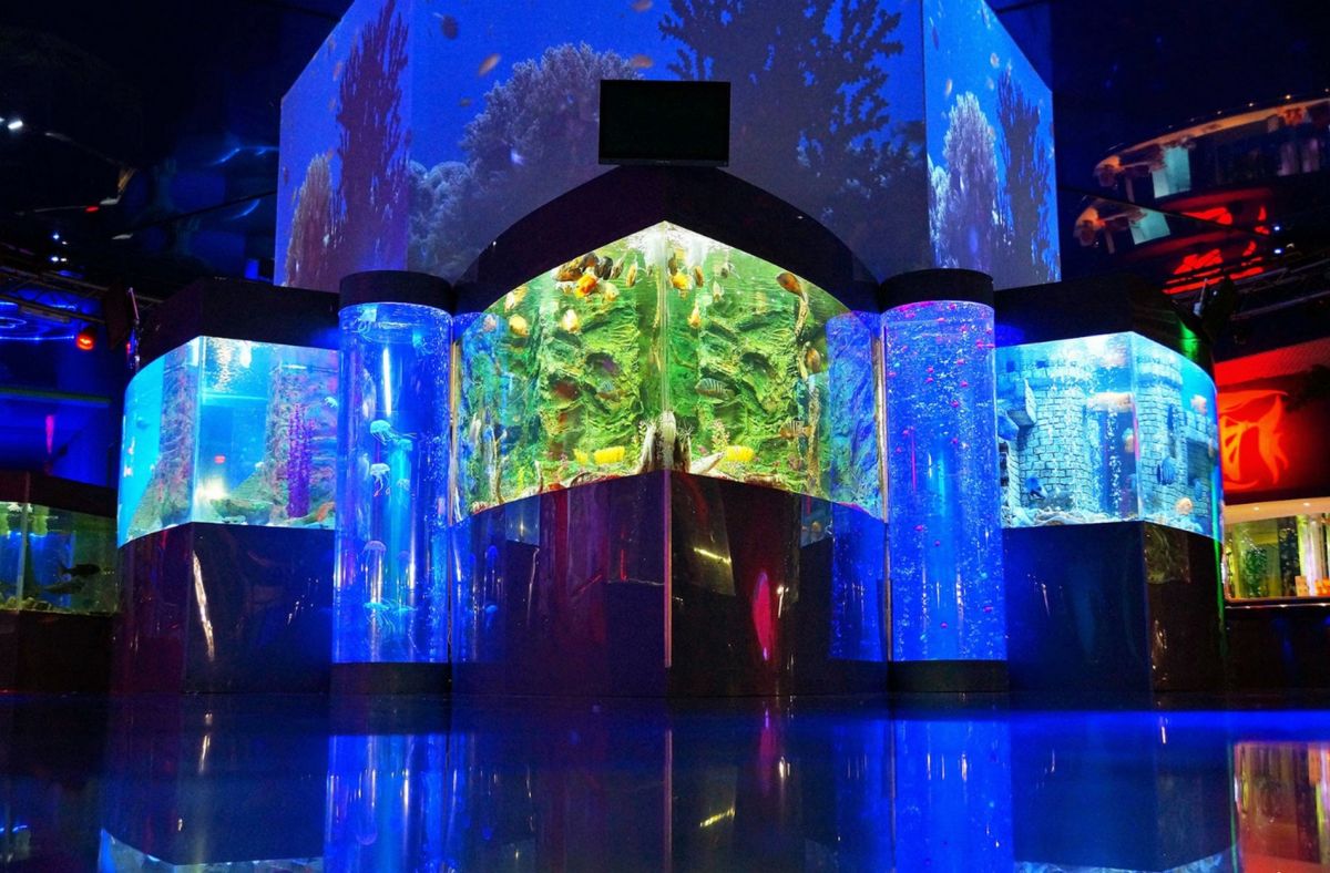 Геленджикский океанариум Оушен Парк