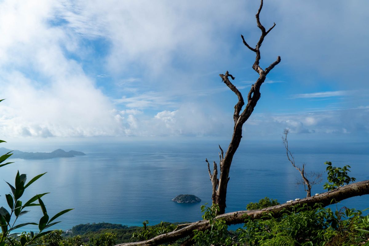 Морн Блан Трейл