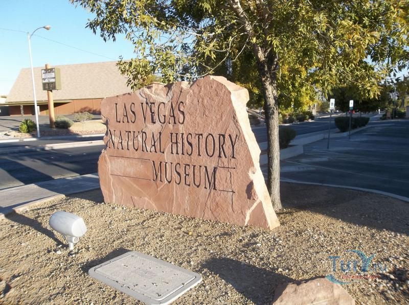 Музей Истории Естествознания