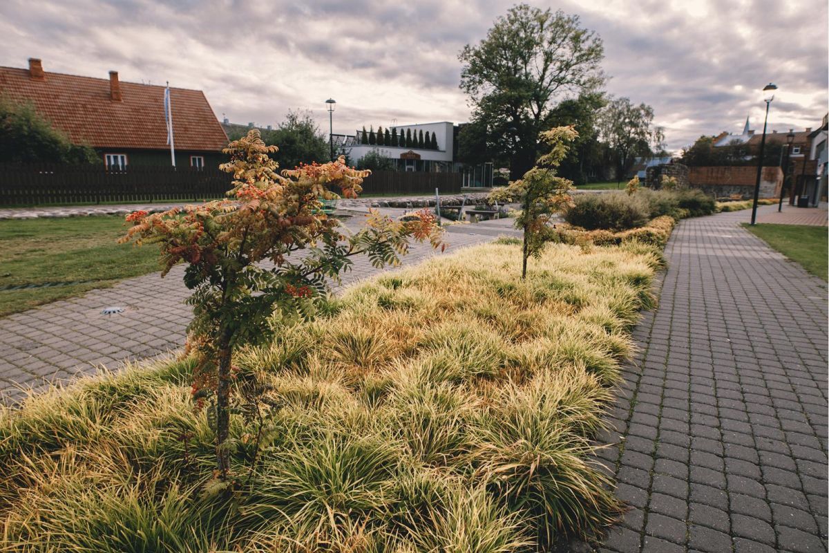 Сад «Аркадия»