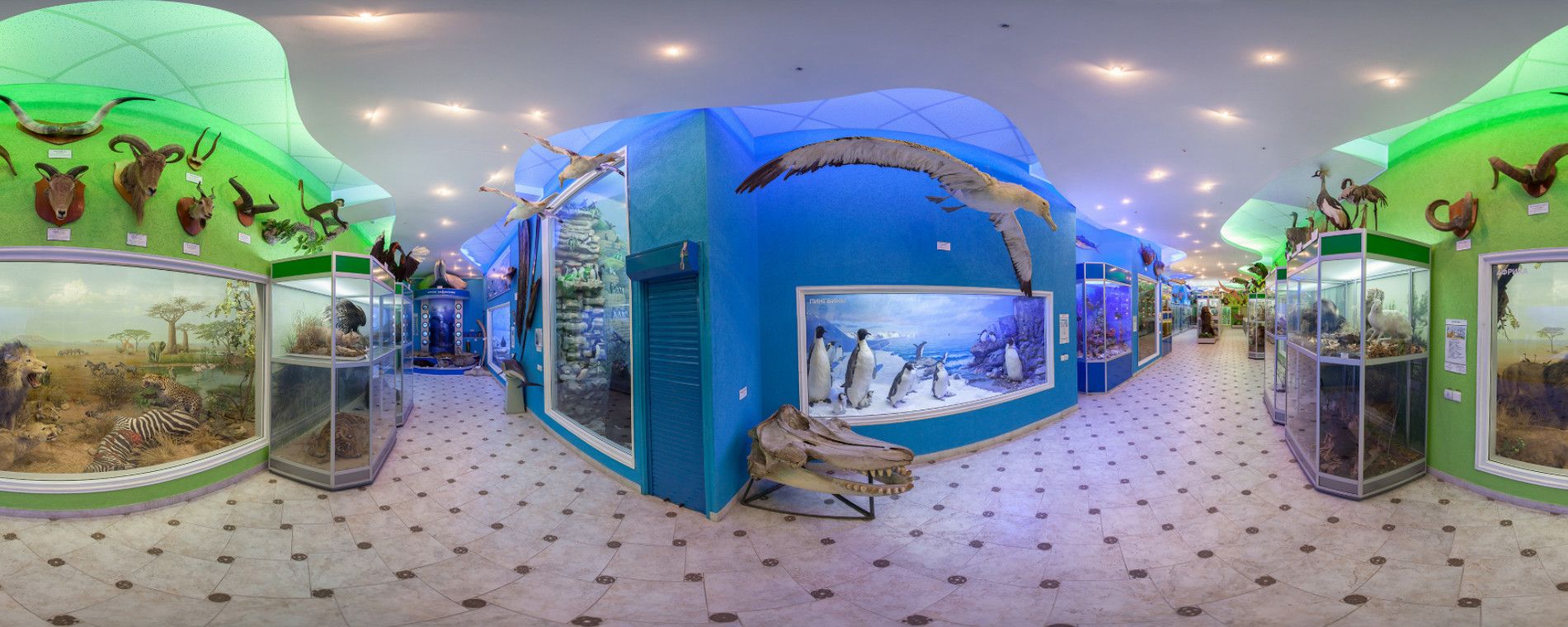 Зоологический музей ТАУ