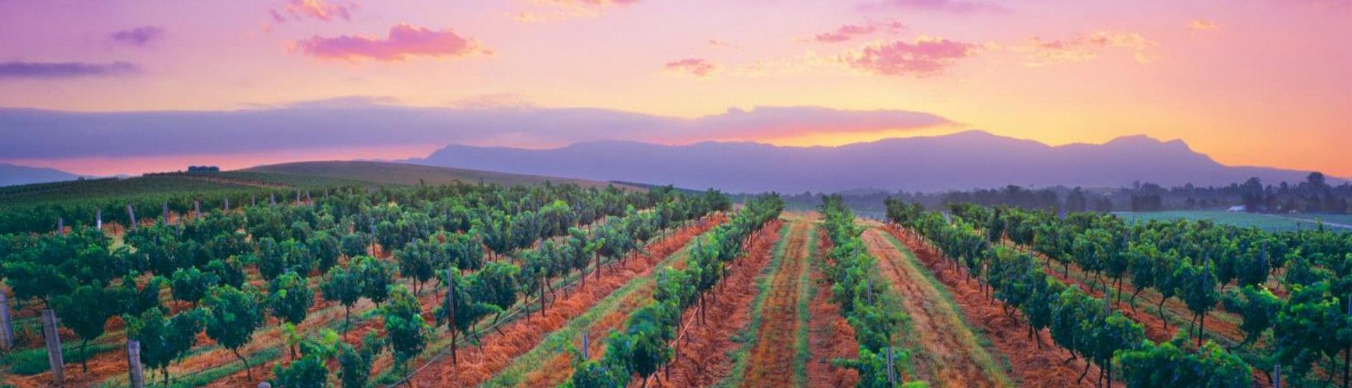 Винодельческий Регион Долина Хантер