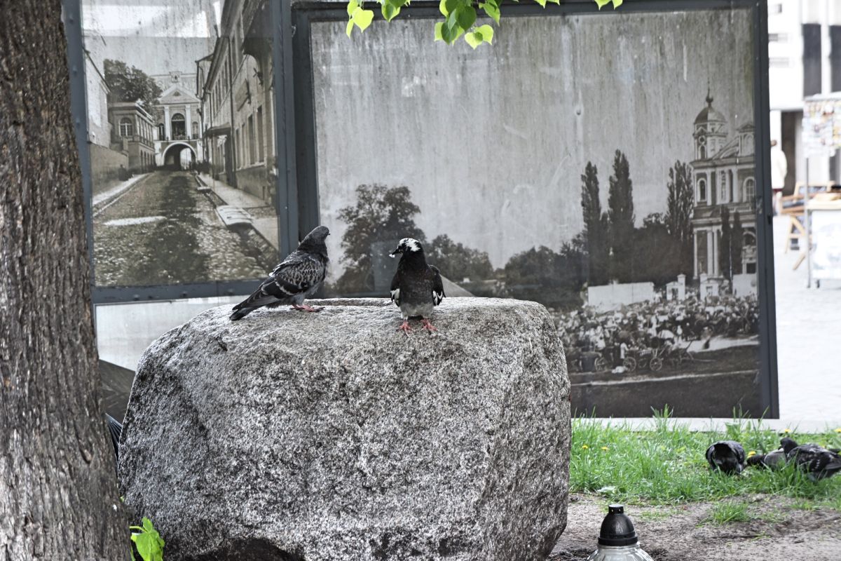 Алтарь Рагутиса