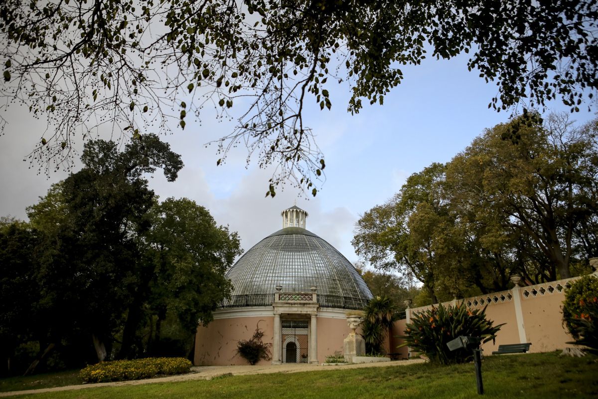 Парк Несесидадеш (Tapada das Necessidades)