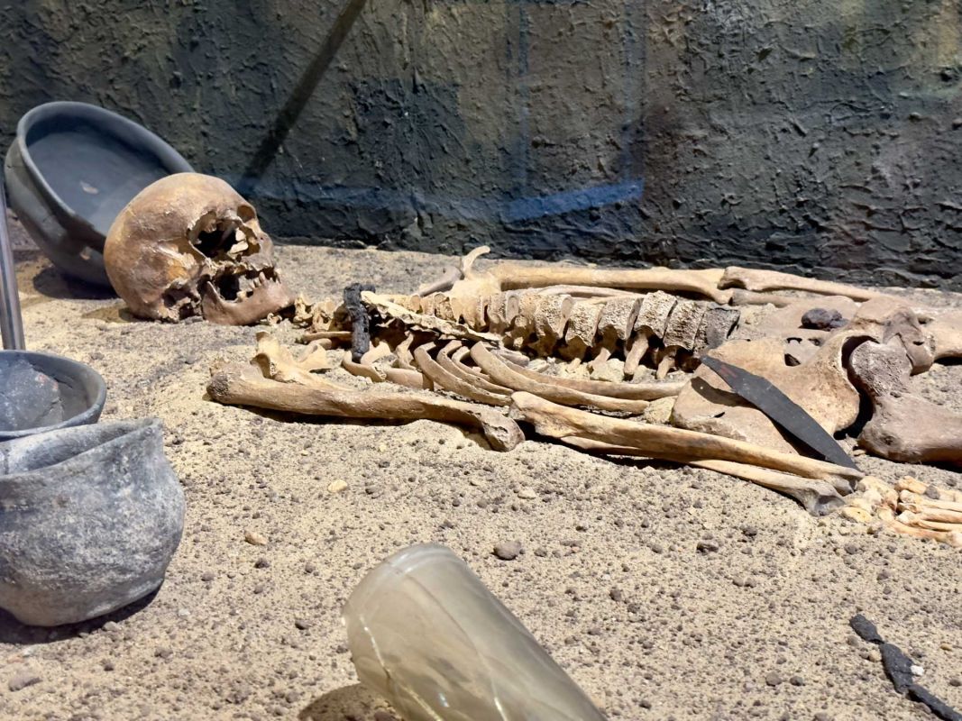 Вроцлавский археологический музей