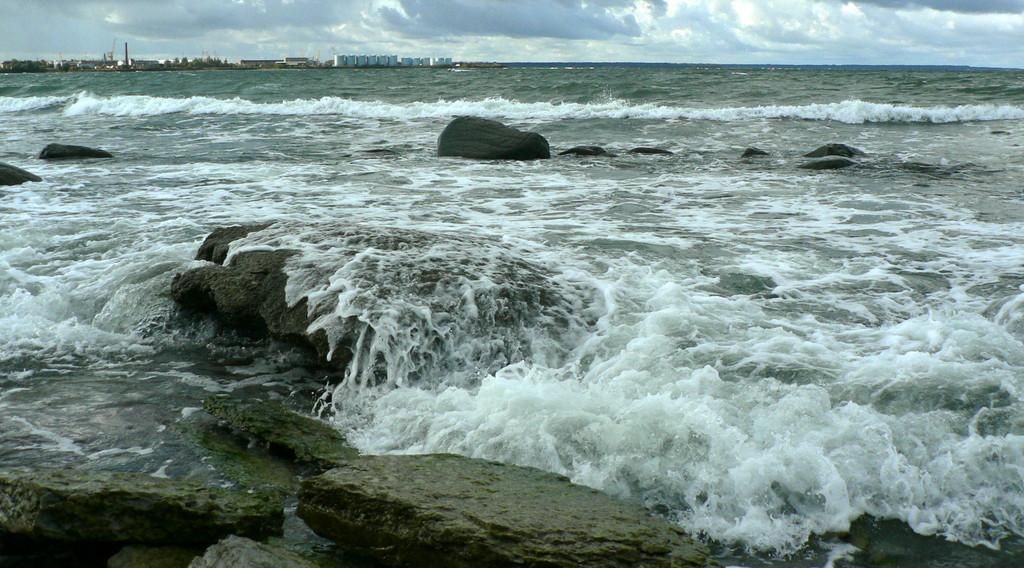Смотровые вышки для наблюдения за птицами в Пальяссаареской заповедной зоне