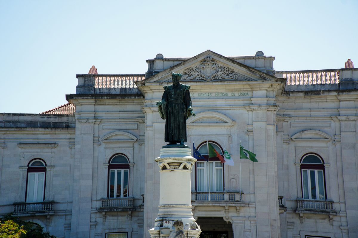 Нова медицинская школа