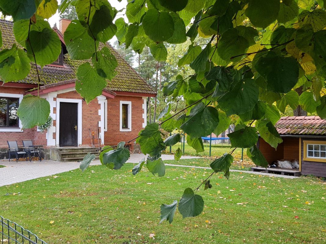 Парк мызы Олуствере