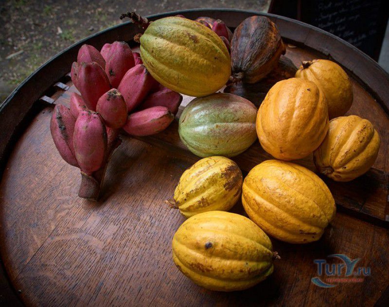 Плантация Абитасьон Серон