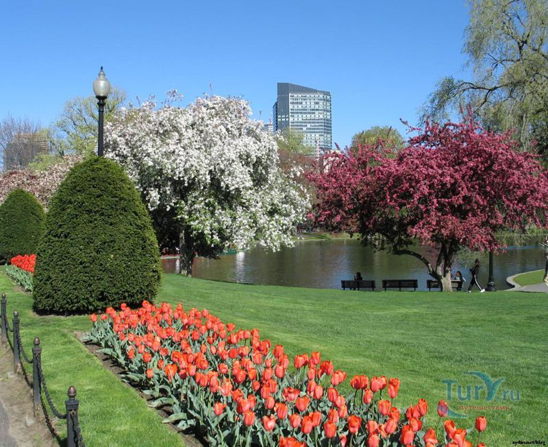 Бостон-Коммон