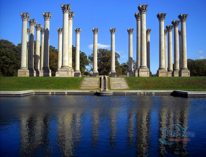 Национальный дендрарий Соединенных Штатов