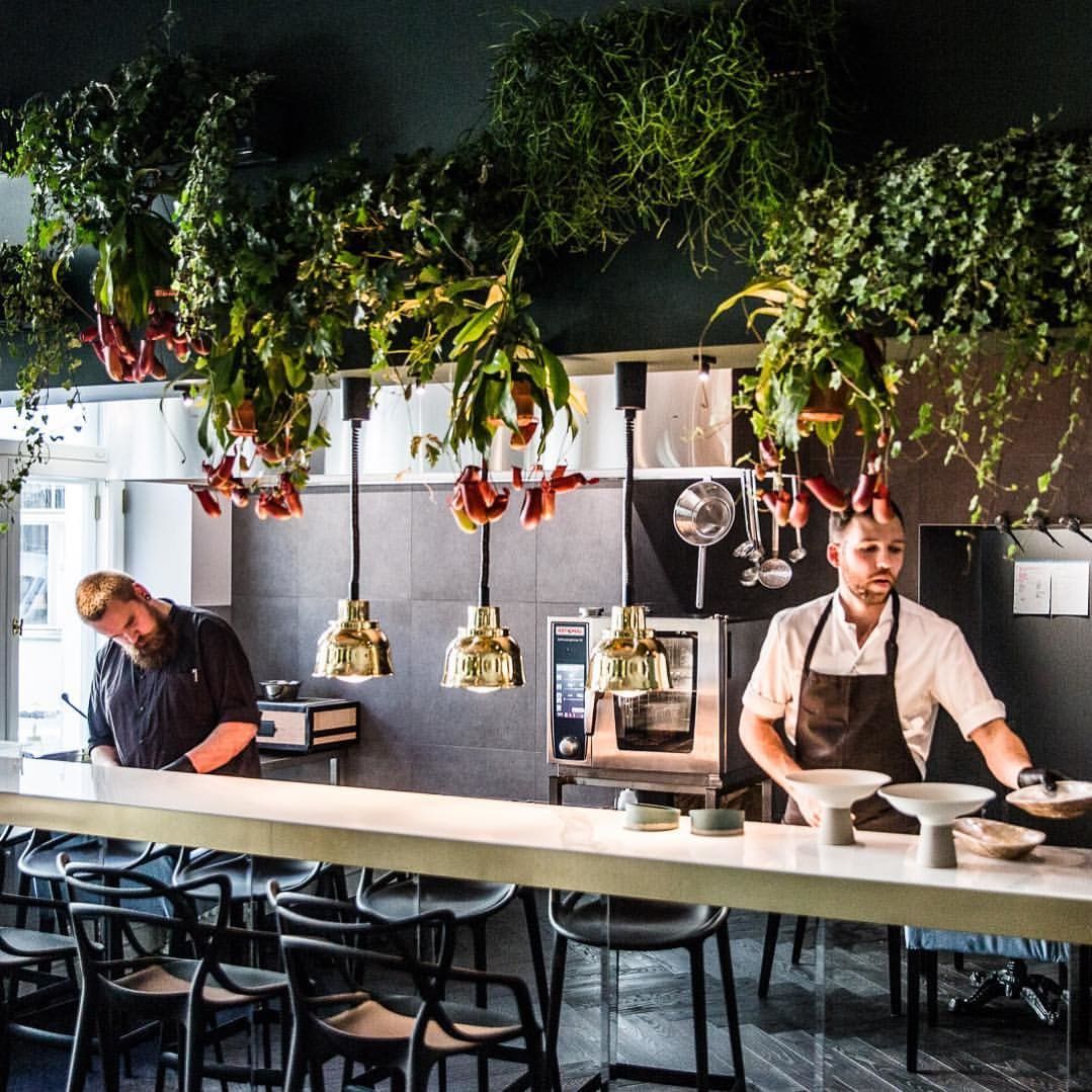 Мини-бар Parrot