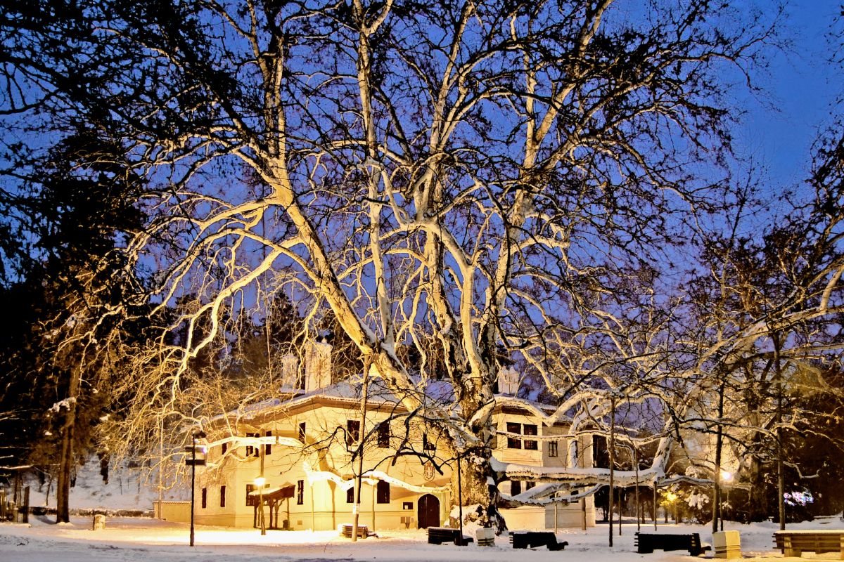 Парк Топчидер