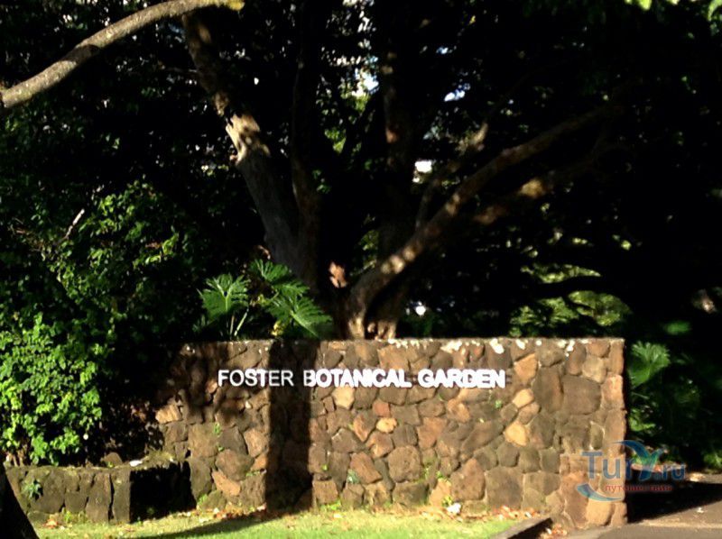 Ботанический сад Foster Botanical Garden в Гонолулу
