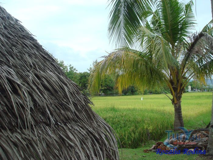 Музей риса Ламан Пади