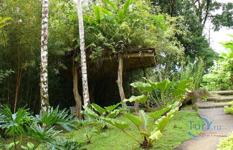 Ботанический сад Балата